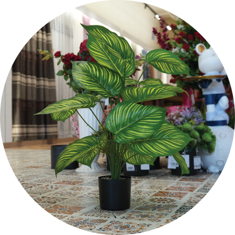 Artificial Plants & Trees
