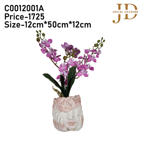 Bunch of Orchids with Red Face Bonsai