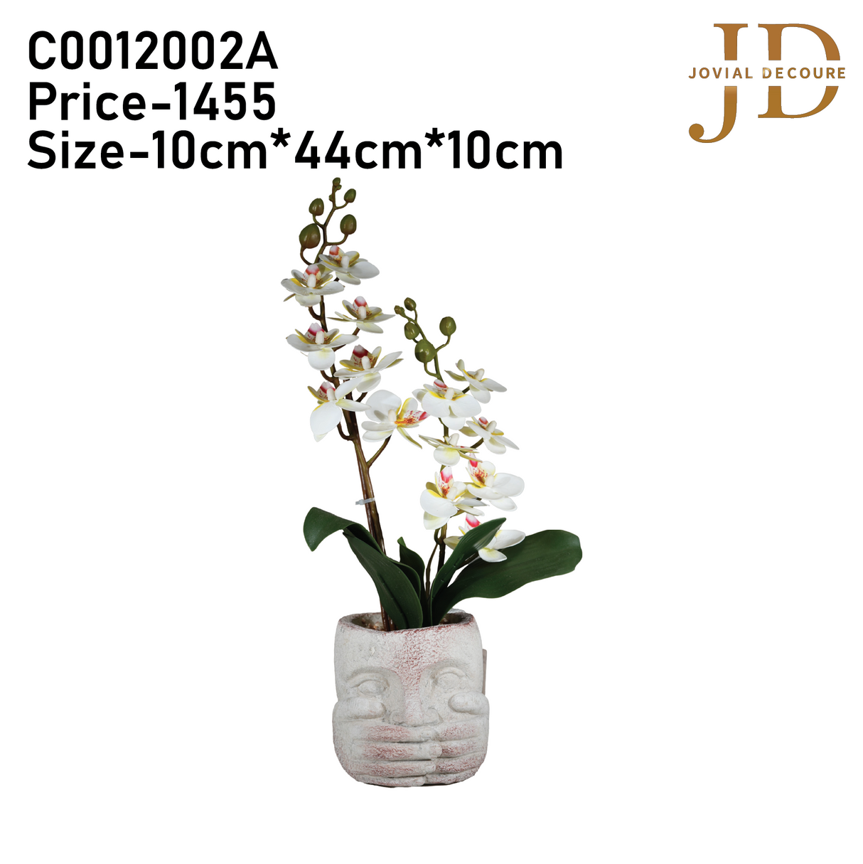 Bunch of Orchids with White Face Bonsai