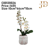 Bunch of Orchids with White Face Bonsai