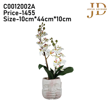 Bunch of Orchids with White Face Bonsai