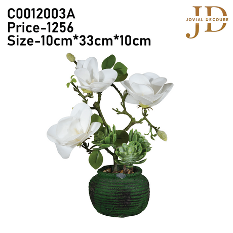 Magnolia Flowers with Green Pot Bonsai