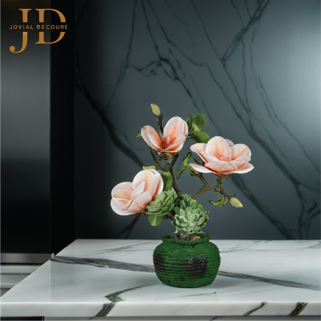 Magnolia Flowers with Green Pot Bonsai