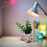 Artificial Faux Potted Plants for Table Desk (Frog Style)