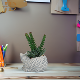 Artificial Faux Potted Plants for Table Desk (Cat Style)