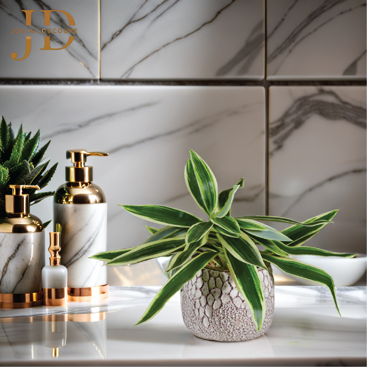 Plant Rhoeo Neon Plants with Pot