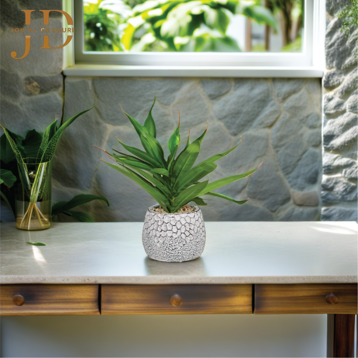 Plant Rhoeo Neon Plants with Pot