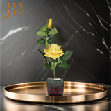 Elegant Rose Haven (Yellow) Bonsai