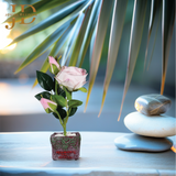 Elegant Rose Haven (Light Pink) Bonsai