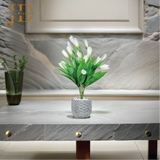 Blossom Elegance Vase (White) Bonsai