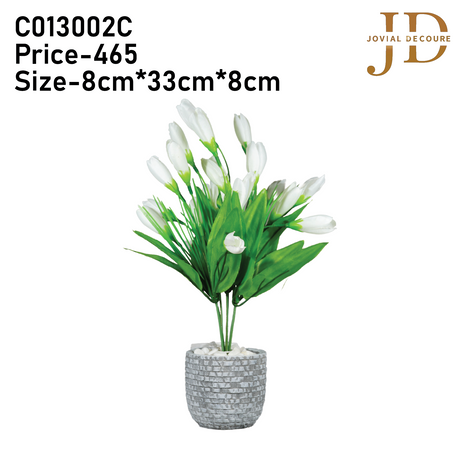 Blossom Elegance Vase (White) Bonsai