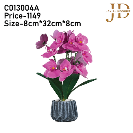 Orchid Elegance Vase (Pink) Bonsai
