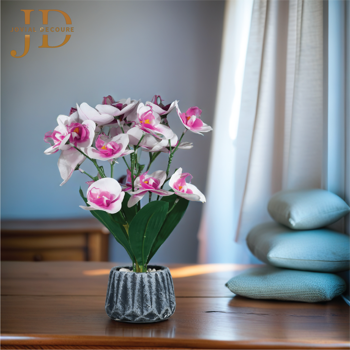 Orchid Elegance Vase (WhitePink) Bonsai