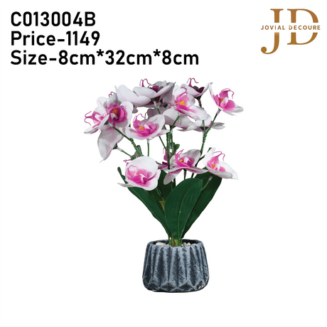 Orchid Elegance Vase (WhitePink) Bonsai