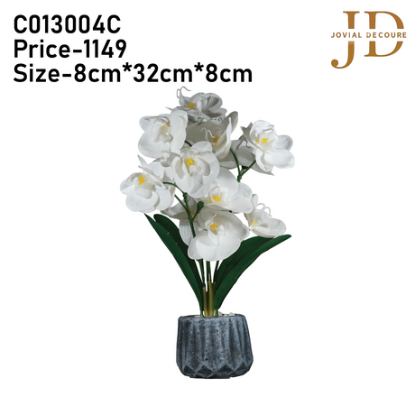 Orchid Elegance Vase (White) Bonsai