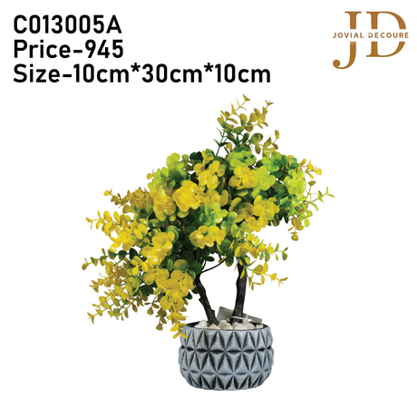 Grey Haven (Yellow) Bonsai