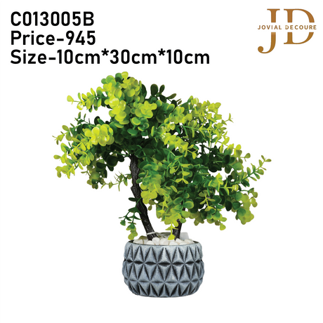 Grey Haven (YellowGreen) Bonsai