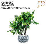 Grey Haven (Green) Bonsai