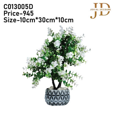Grey Haven (White) Bonsai