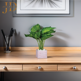 Verdant Charm Leaves Bonsai 01