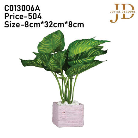 Verdant Charm Leaves Bonsai 01