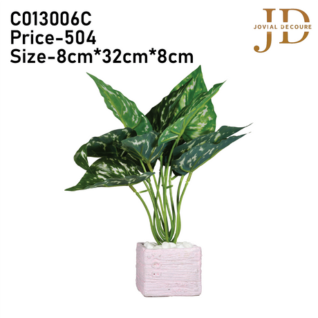 Verdant Charm Leaves Bonsai 02