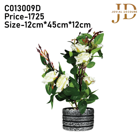 Ruby Roses (White) Bonsai
