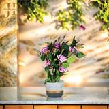 Scarlet Roses (Light Pink) Bonsai