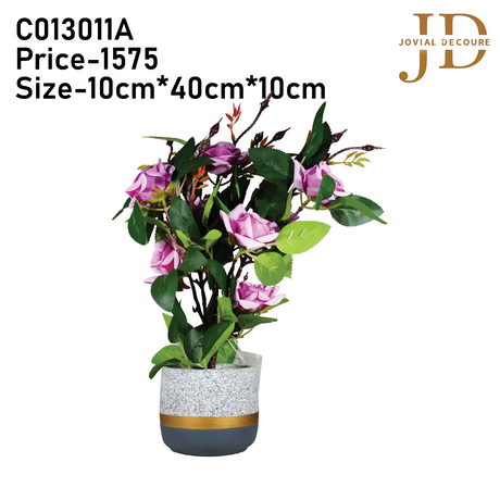 Scarlet Roses (Light Pink) Bonsai