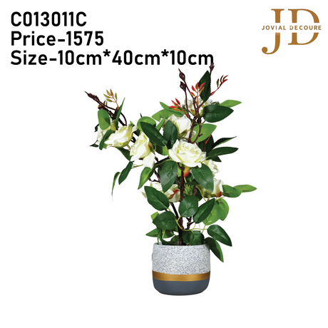 Scarlet Roses (White) Bonsai