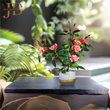 Scarlet Roses (Peach) Bonsai