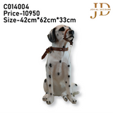 Sitting White Labrador Dog