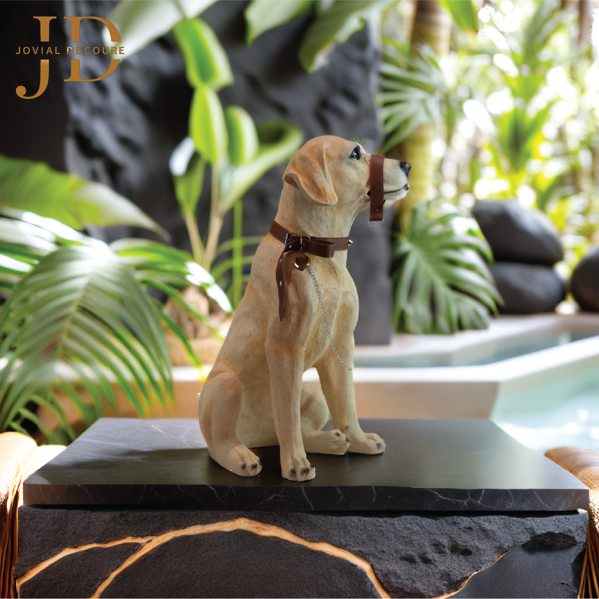 Sitting Golden Labrador Dog