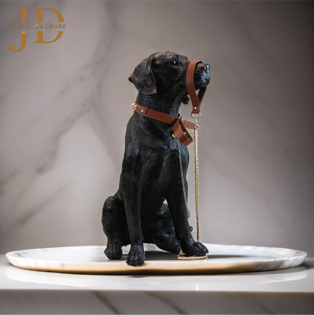 Sitting Black Labrador Dog