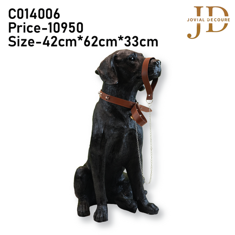 Sitting Black Labrador Dog