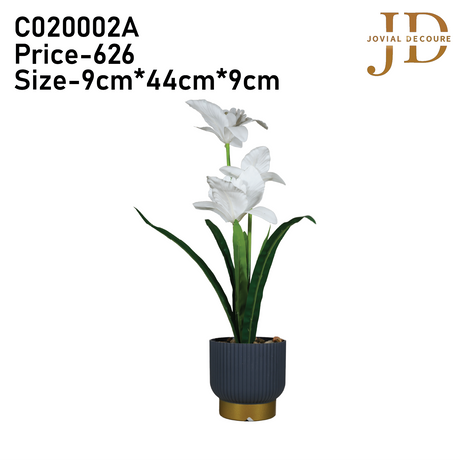 Floral Serenity (White) Bonsai