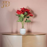 Red Roses Buffet Bonsai