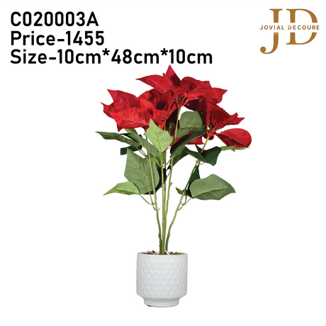 Red Roses Buffet Bonsai