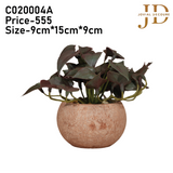 Leafy Serenity (Reddish) Bonsai