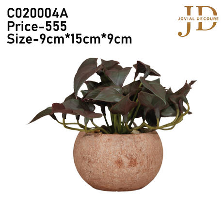 Leafy Serenity (Reddish) Bonsai