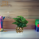 Glass Pot with Leaves 02