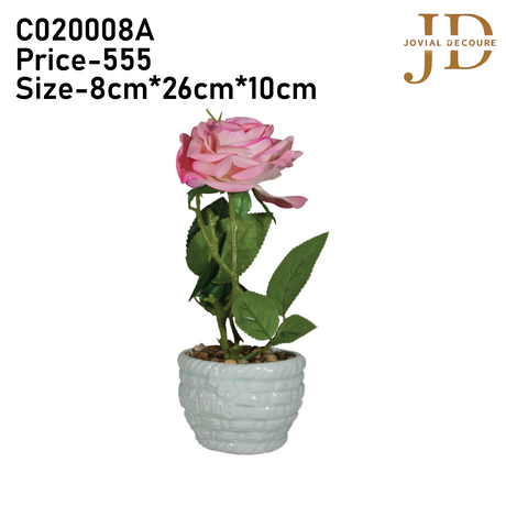 Forgiving Pink Rose Bonsai