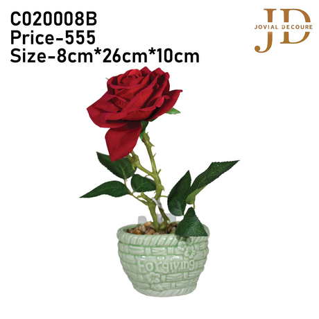 Forgiving Red Rose Bonsai