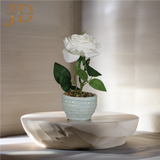 Forgiving White Rose Bonsai