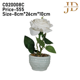Forgiving White Rose Bonsai