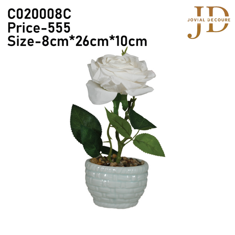 Forgiving White Rose Bonsai