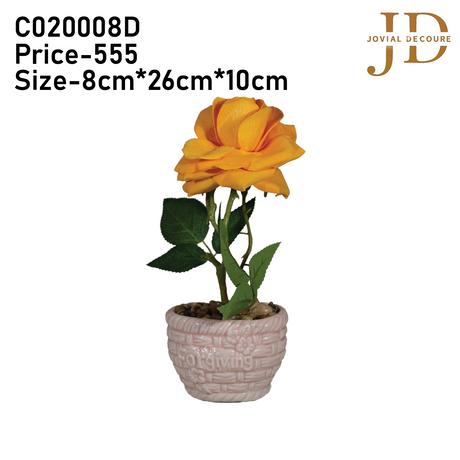 Forgiving Yellow Rose Bonsai