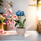 Forgiving Blue Rose Bonsai