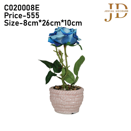 Forgiving Blue Rose Bonsai
