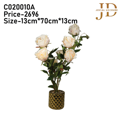 Bunch of Roses (White) Plant
